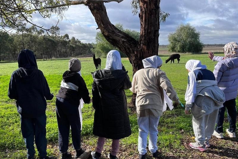 Year 5 and 6 Girls Camp Kookaburra